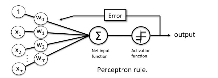 A diagram of a basic perceptron